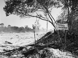 Jo Ractliffe, On the road to Cuito Cuanavale III, 2009.