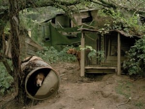 Mike Smith, Unicoi, TN, 1998.