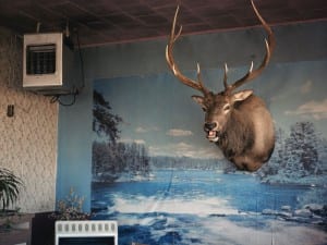 Bryan Schutmaat, Elk Head, 2007.