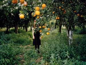 Anni Leppälä, Orange Tree, 2008. Courtesy of the TAIK Gallery. © Rencontres Arles.
