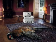 Roger Hopgood, Drawing Room with Pheasant