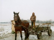 Mary Humphrey, Roma : Transylvania : January 2011
