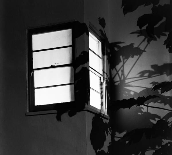 James Welling: The Mind on Fire, MK Gallery, Milton Keynes