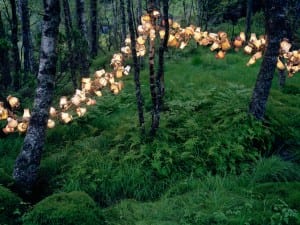 Rune Guneriussen, A grid of physical entities, 2012.