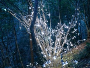 Rune Guneriussen, En lampe pa bordet brenner, 2011