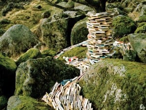 Rune Guneriussen, It’s common knowledge, 2009