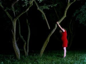 Astrid Kruse Jensen, Something bigger than herself (from The Construction of memories)