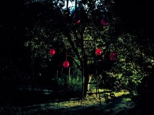 Astrid Kruse Jensen, The unreachable.