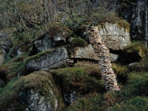 Rune Guneriussen, The science of planting forest, 2010