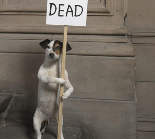 Turner Prize Shortlist Announced