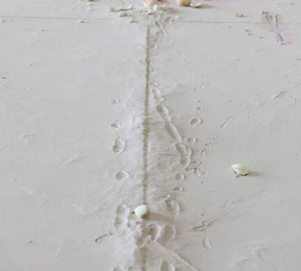 Karla Black at ICA, Philadelphia