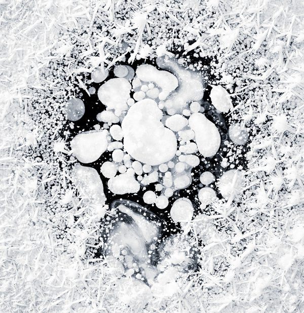 2014 holocaust memorial essay poetry performance and art contest 05 picture