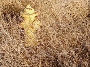 Robert Harding Pittman, Phoenix, Arizona, USA, 2013. From the series ANONYMIZATION. © Robert Harding Pittman.