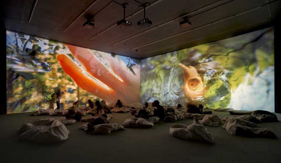 Pipilotti Rist Net Worth