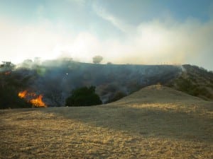 Eric Ogden, Brush Fire, 2015.