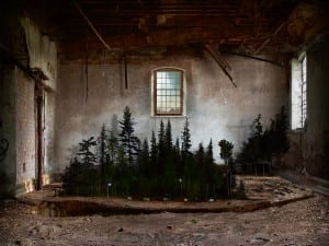 Suzanne Moxhay, Copse, 2014. Archival digital pigment print.