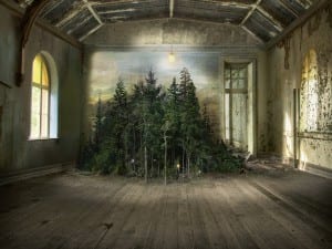 Suzanne Moxhay, Thicket, 2015. Digital pigment print.