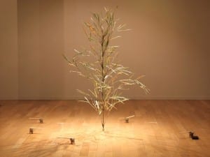 Adriana Salazar, Moving Plants, 2011