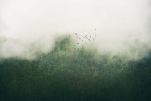 Aesthetica Art Prize Call for Entries Countdown: 9 Days to Go