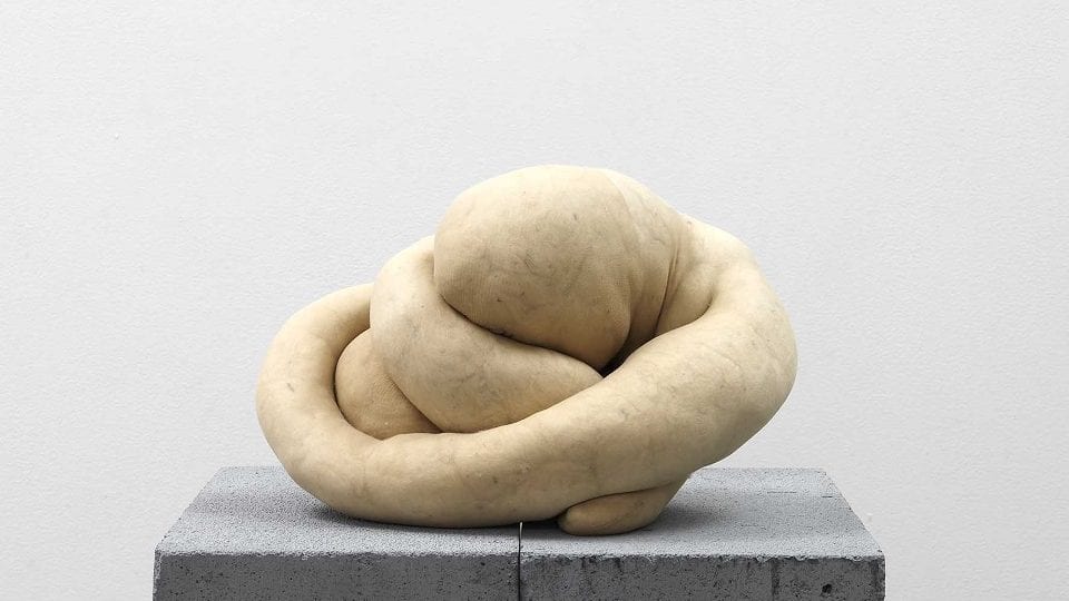 Flesh, York Art Gallery.