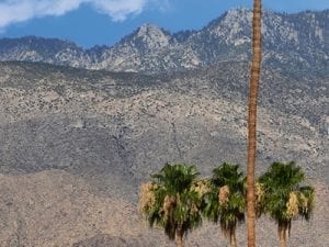 Palm Springs, California, 2013. Shot with Nikon D7100. From <i>The Mother Road Series</i> (2013-2017).