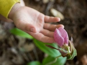 Cig Harvey,<i> Lady Slipper, You an Orchestra  You a Bomb, </i>2017.