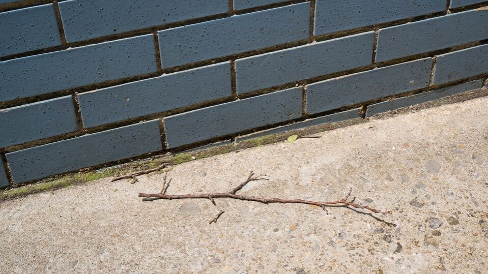 Stephen Shore: Forgotten Objects