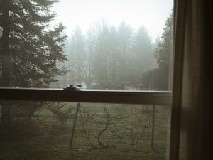 Eric Ogden, <i>Fog (Mom’s House),</i> 2011.