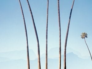 George Byrne, detail
of <i>Burton Way,</i> 2015.