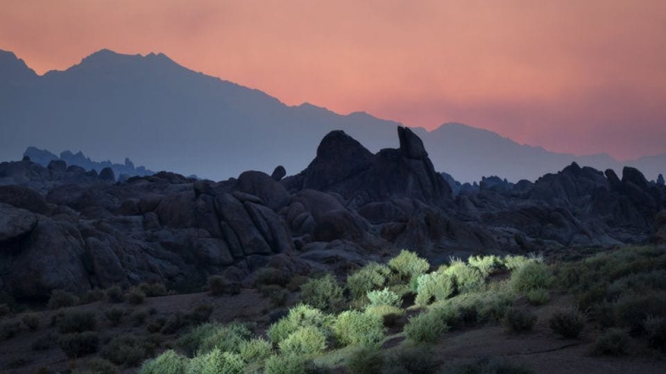 Restorative Compositions