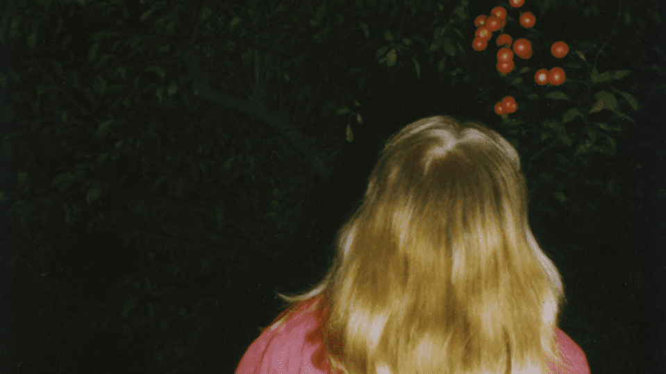 Transcendent Snapshots