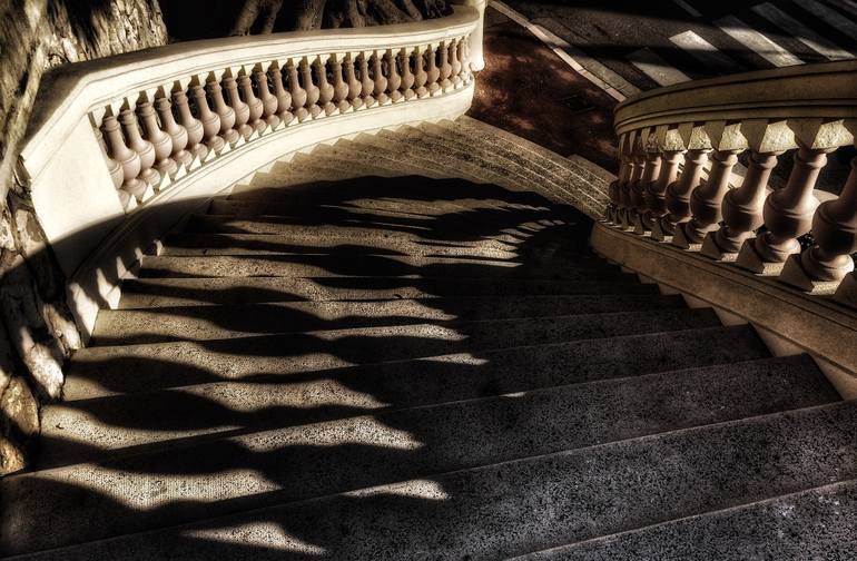 Photographer Profile: Julian D'Arcy