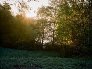 Alice Zoo, <I>View from the Ladies Pond</I>, 2016. From the series <I>Swimmers</I>. Courtesy of the artist