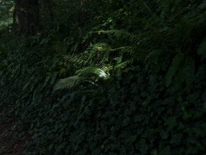 Fiona Filipidis, <I>Untitled</I>, 2016. From the series <I>Happy is England</I>. © Fiona Filipidis.