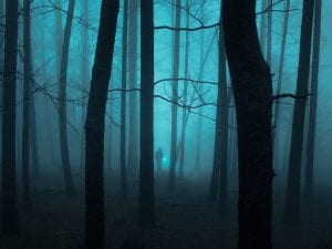 E6F25F60-1E3C-4161-A4DA-E4433C4E4B51