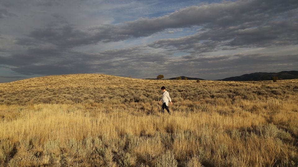 Art and Science: Charting Hybridity