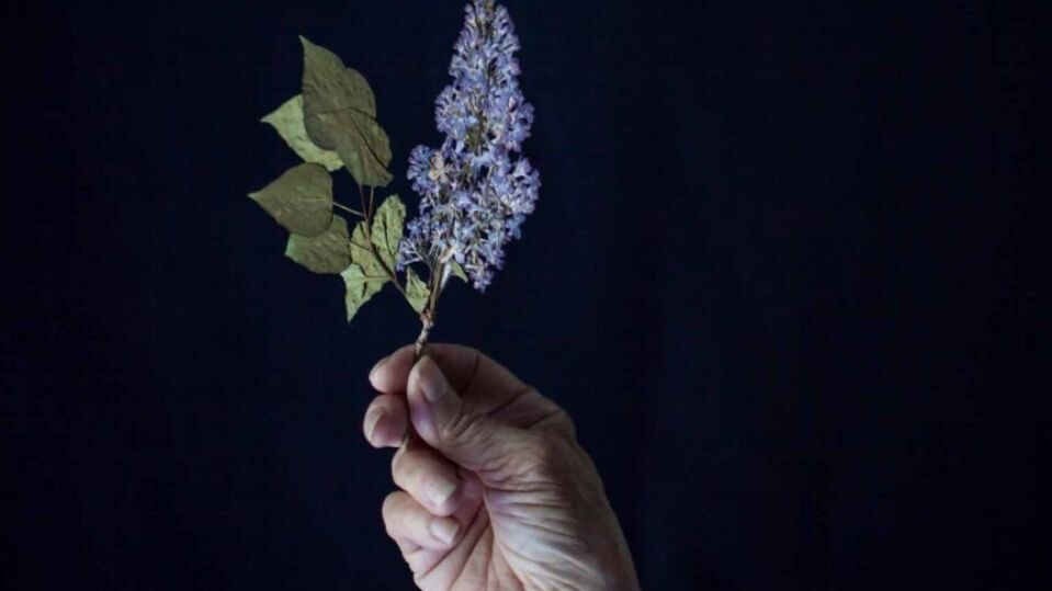 Sense of Magic