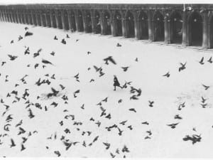 Gianni Berengo Gardin, Venice, 1960.