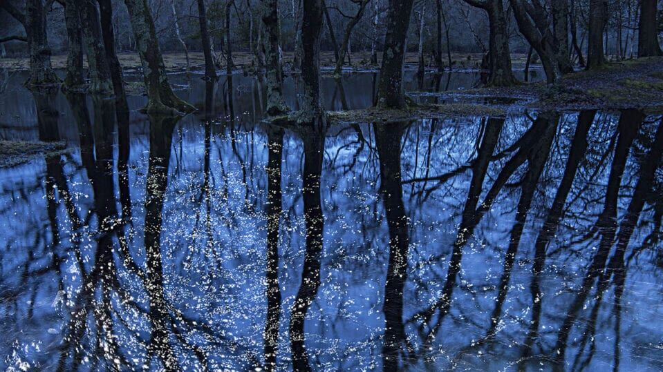 Top Picks: London Art Fair 2021